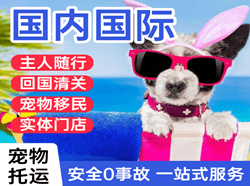 启阳航空运输国际宠物托运 【国